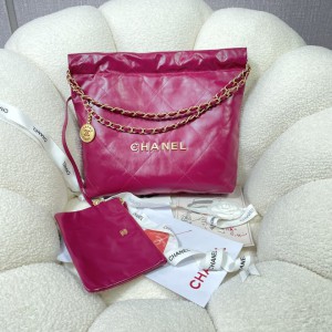 Chanel 22 Small Handbag - 22BAG062